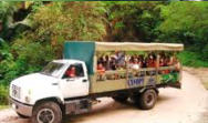 Puerto Vallarta Canopy Tours