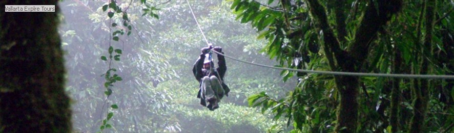 Canopy Tours