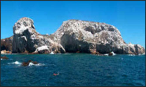 Snorkel Tour Marietas Islands